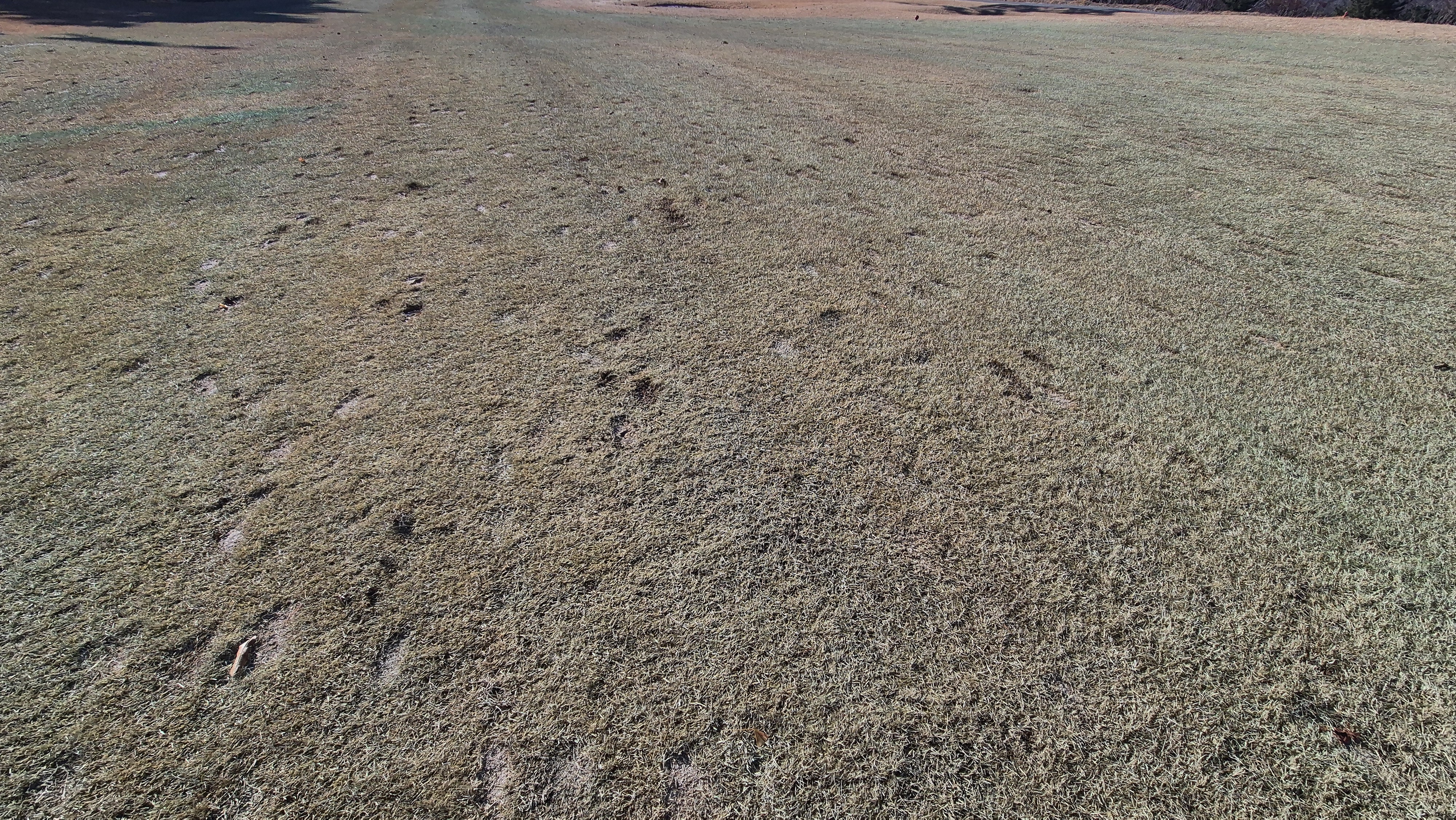 로제비앙gc 로제-비앙 코스 관리 상태