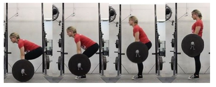 λ°λ리ννΈ μμΈ