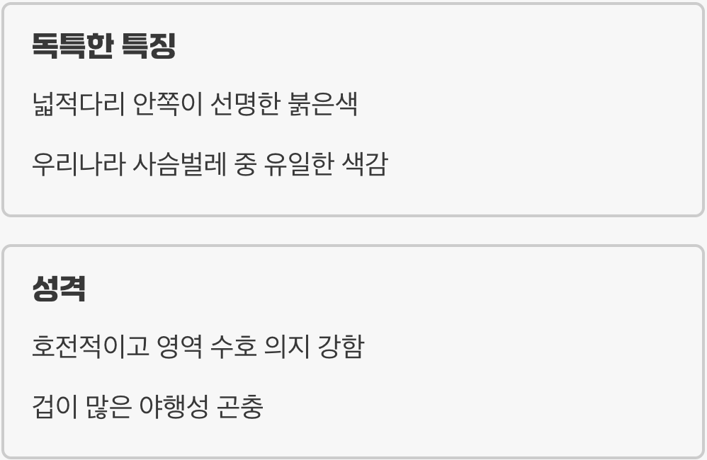 '붉은 다리'의 작은 무사, 홍다리사슴벌레