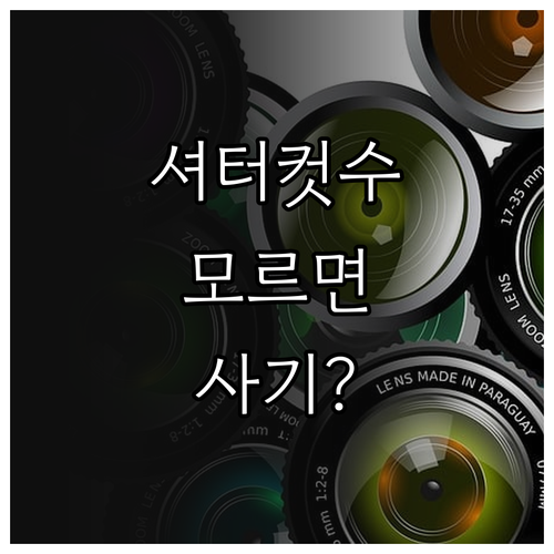 중고 카메라 거래 시 필수인 셔터 컷..