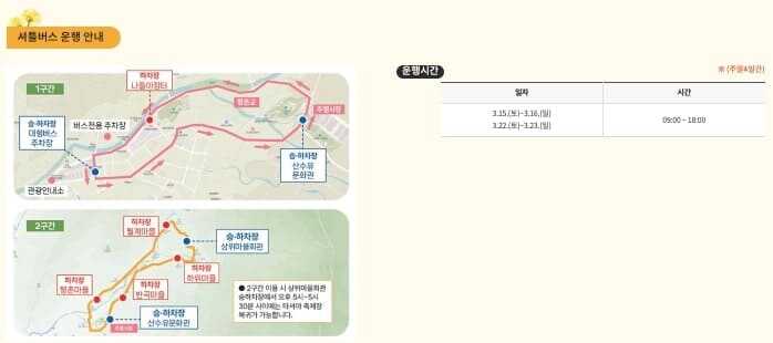 구례 산수유축제