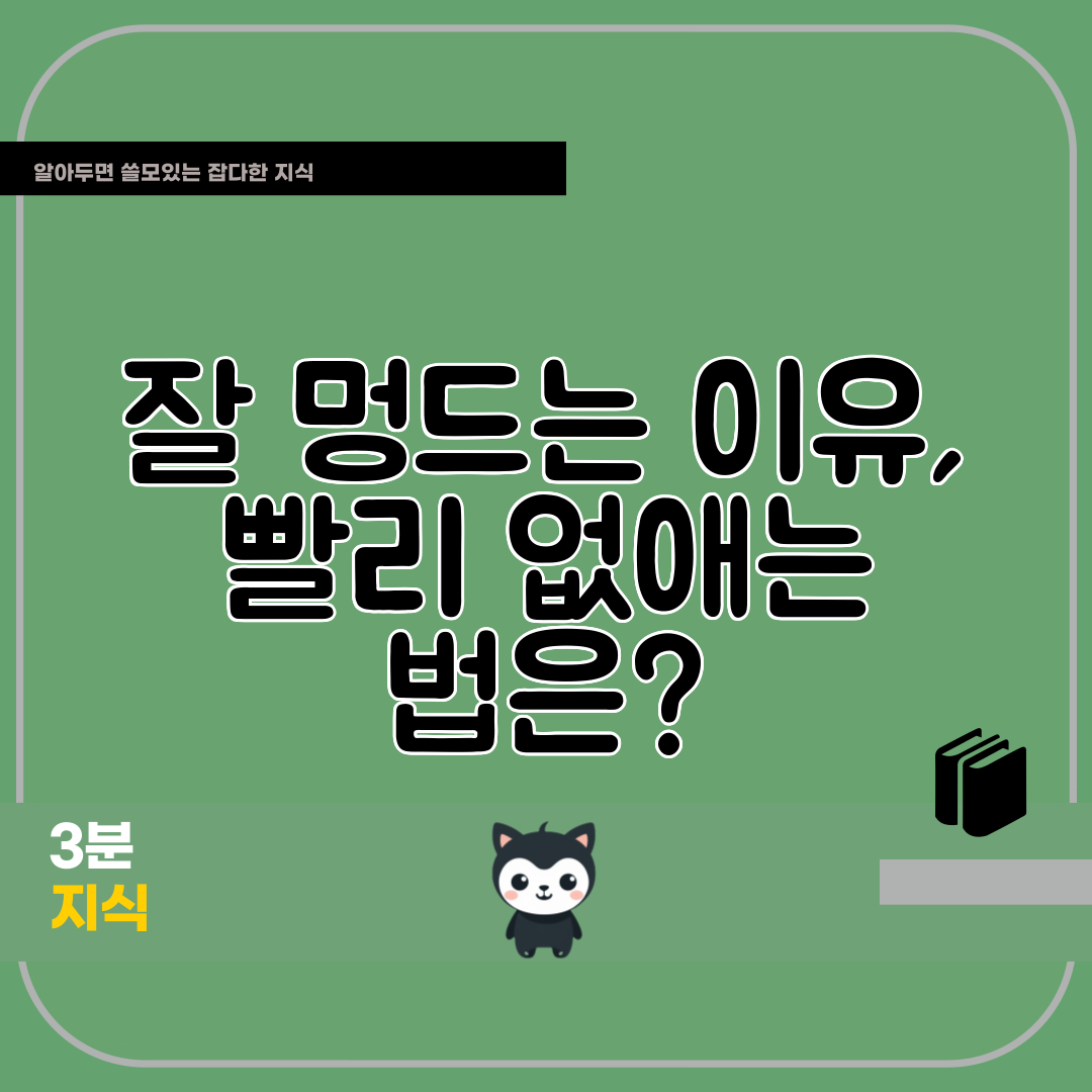 잘 멍드는 이유, 빨리 없애는 법은