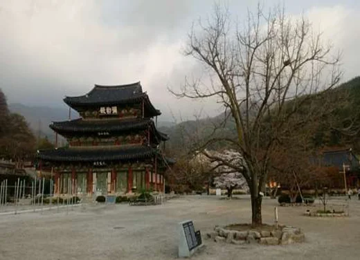김제금산사