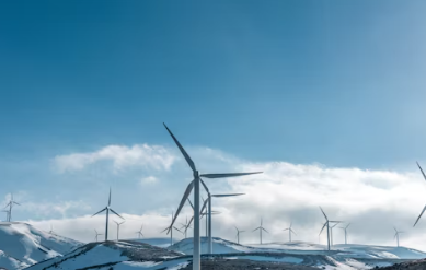 한전 에너지 캐시백 신청방법, 환급 (주택용) 홈페이지 바로가기