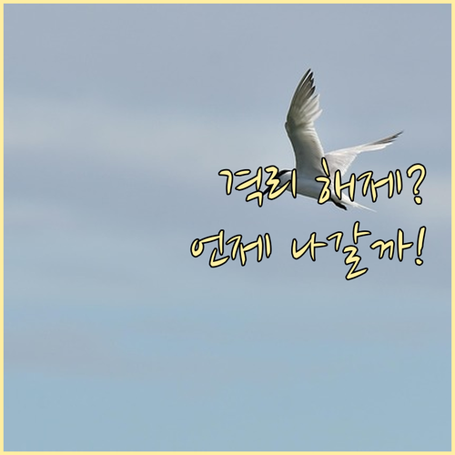 B형 독감 전염력 사라지는 시기와 안..