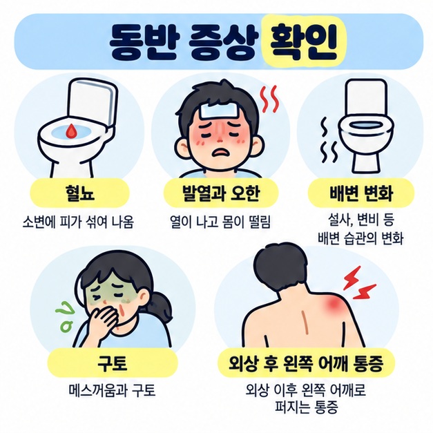 신장결석, 신우신염, 게실염, 비장 문제, 근육통의 대표적인 동반 증상을 비교해 보여주는 카드