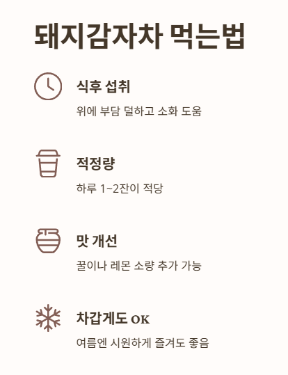 돼지감자차 먹는법