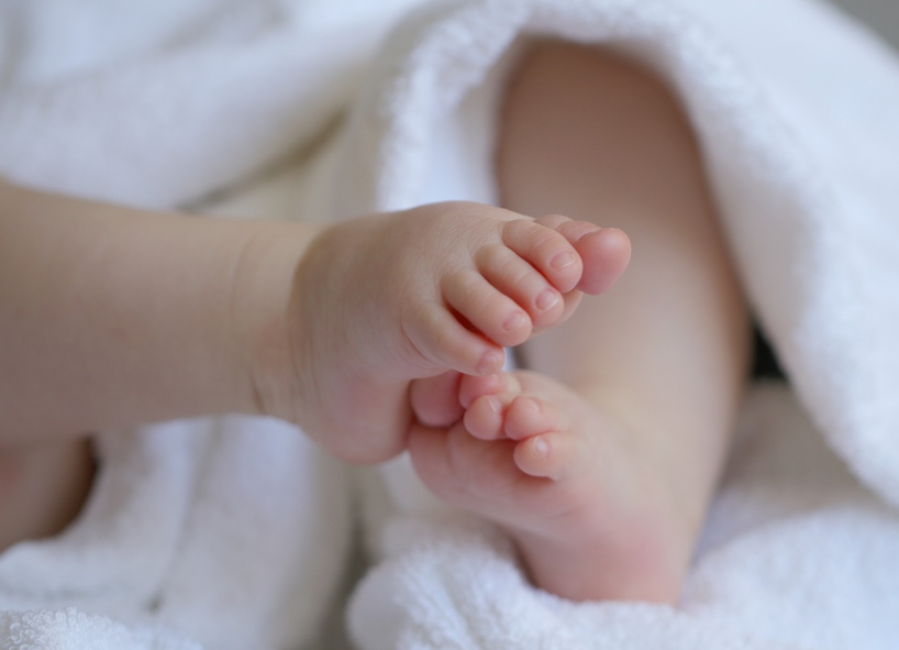 글의 이해를 돕기 위한 사진