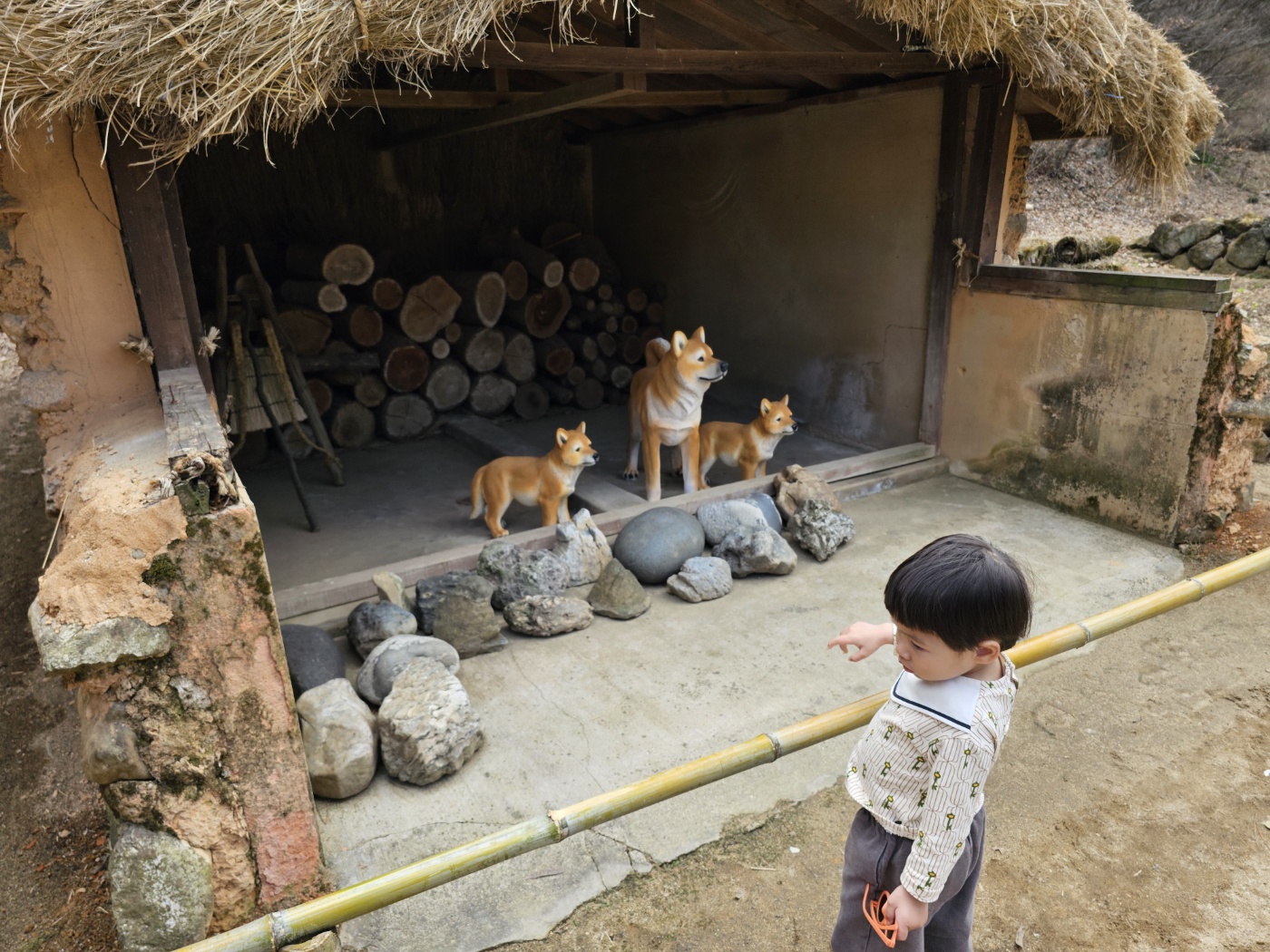 울릉도민가&amp;#44; 제주도 민가