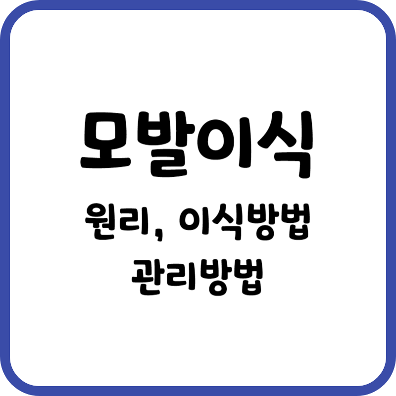 모발이식방법