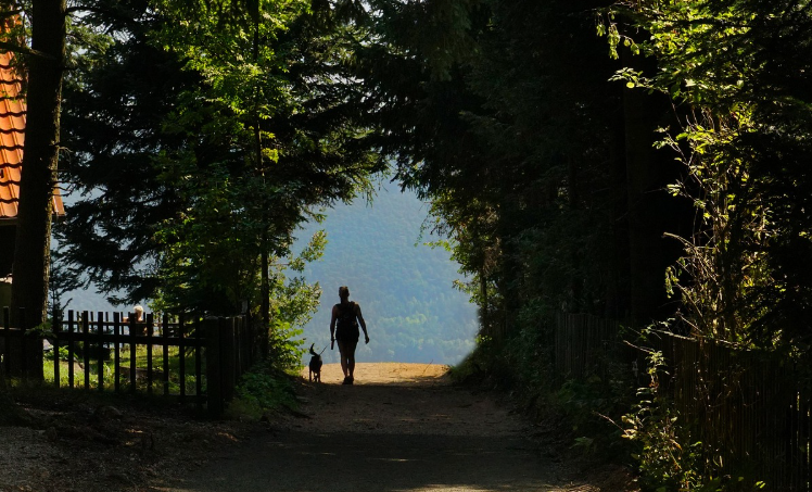 환경심리학이란? 인간과 환경의 숨은 관계