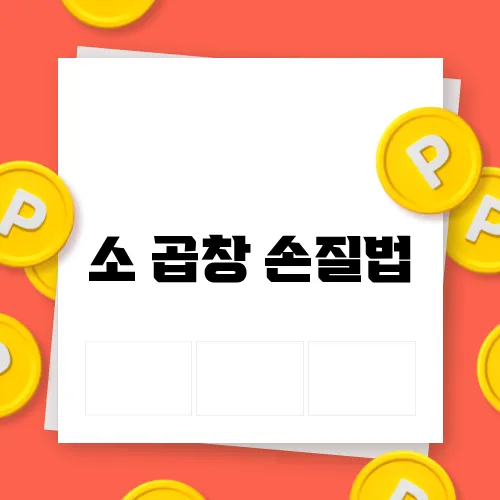 소 곱창 손질법