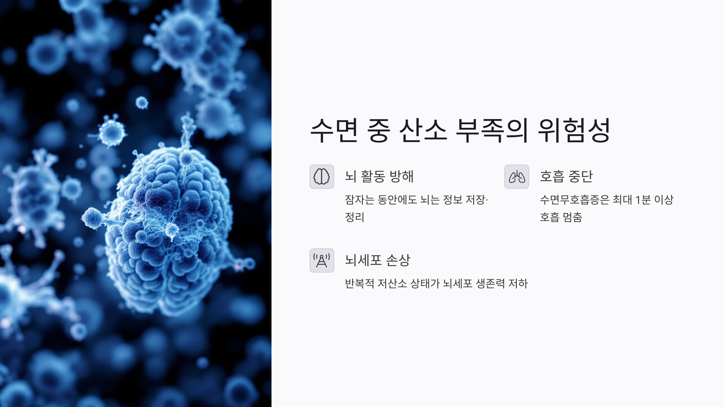2025년 코골이와 수면무호흡증이 기억력 저하를 부른다? 뇌 손상 예방법 총정리