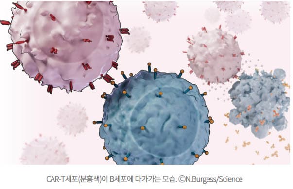 💉 의학 혁신의 중심에 선 두 발견 : 에이즈 예방주사&자가면역질환 치료