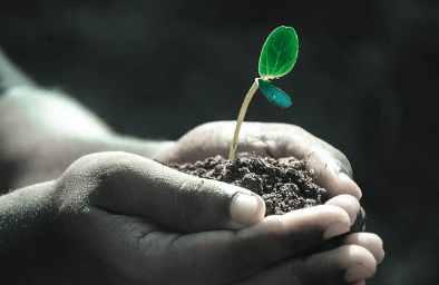 기초생활수급자 자격요건