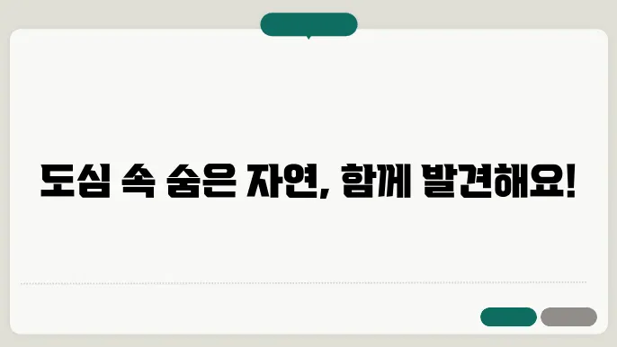 자연과 함께하는 일상: 도심 속 자연 체험법