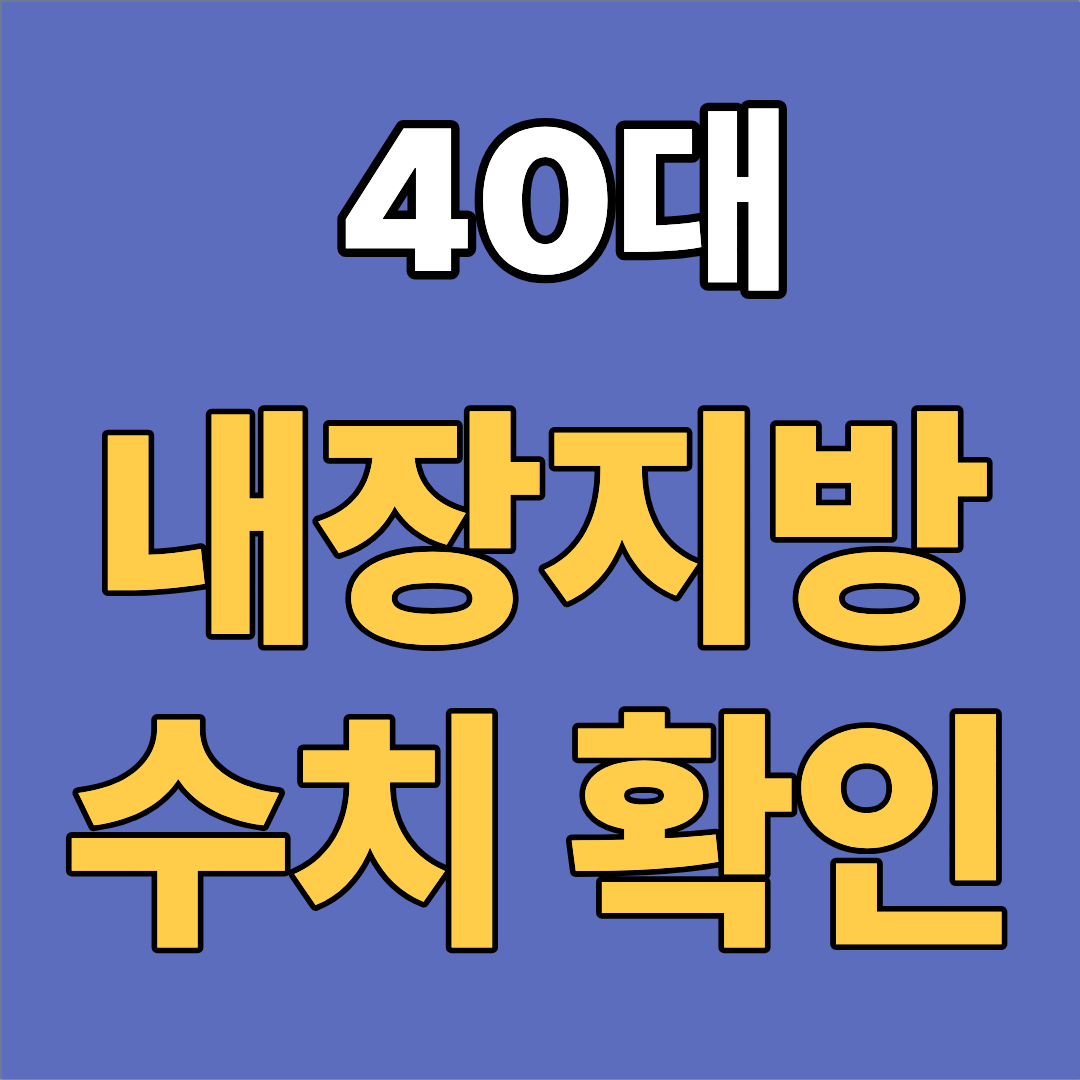 40대 내장지방 수치 확인