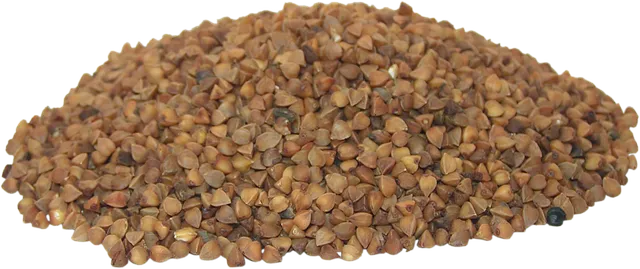 메밀차 효능 부작용_7