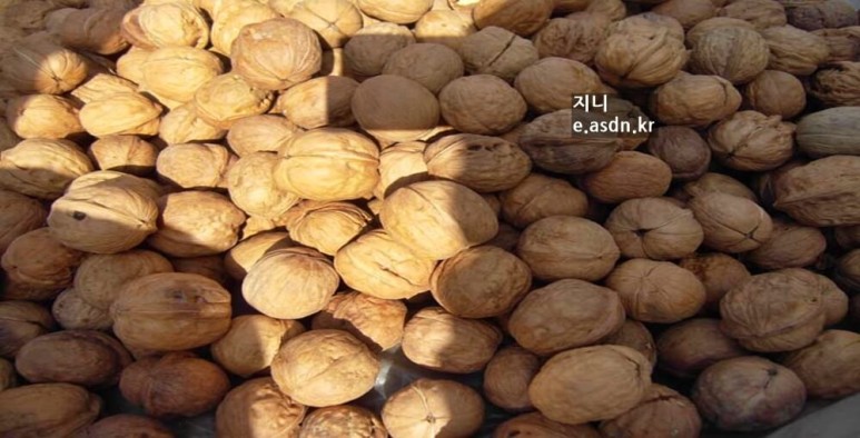 호두 효능 여덟가지와 부작용 총정리...음식건강이야기 열여덟번째