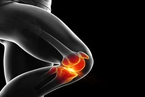 줄기세포-무릎수술