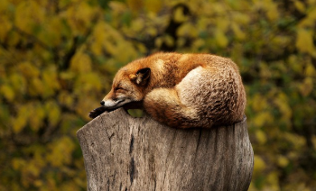 검버섯 없애는 방법 완벽 정리 11