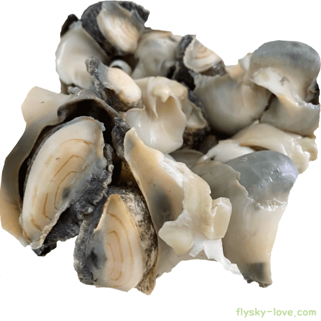 참소라 고르는 법