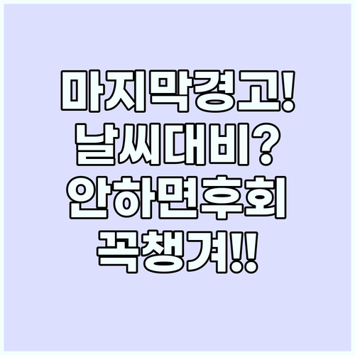 2026년 여행 전 마지막 점검 날씨..