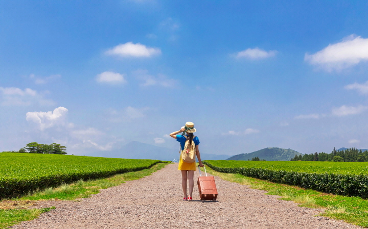 여행자보험 인터넷가입