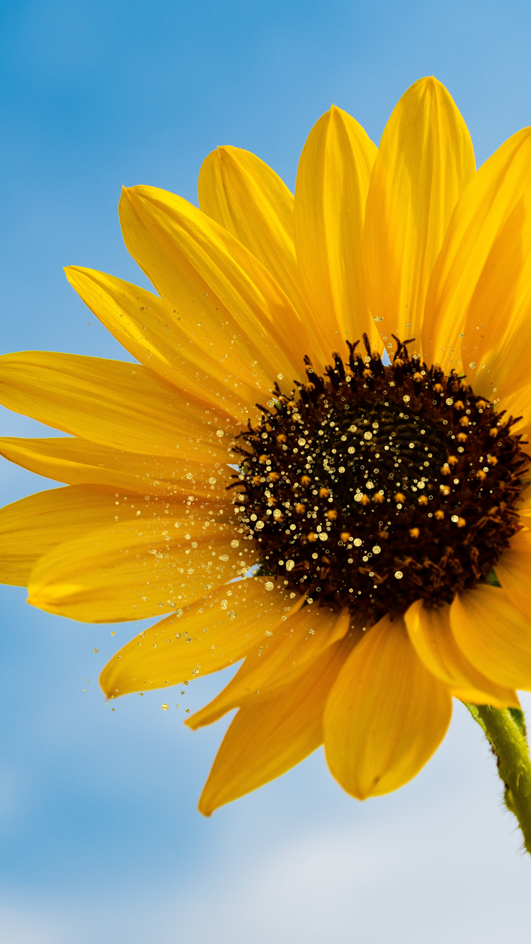 돈들어오는 그림 배경화면 사진