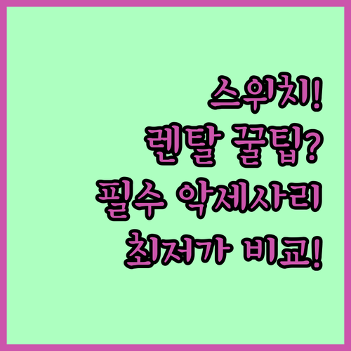 닌텐도 스위치 1일 장기 렌탈 가격 ..