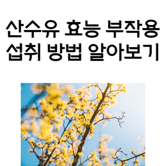산수유의 효능과 부작용&#44; 섭취 방법