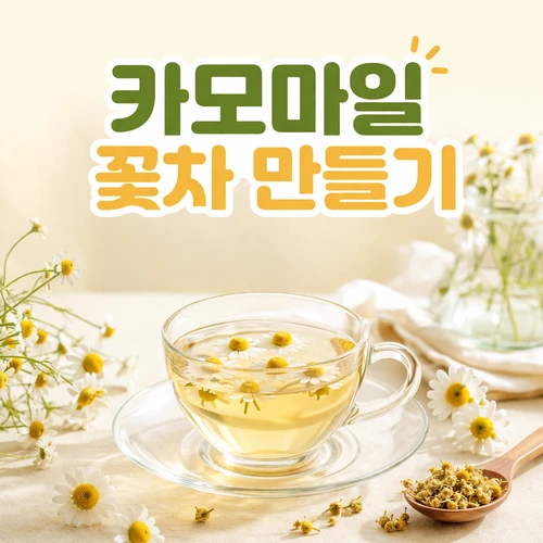 카모마일 꽃차 만들기