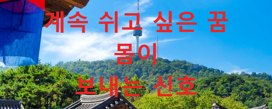 꿈과건강