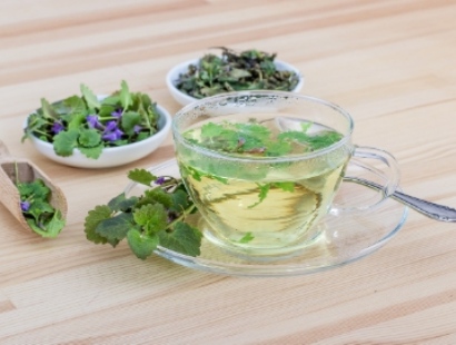 양평 용문산 산나물 축제