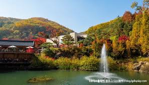 2024 화담숲 단풍 사전예약