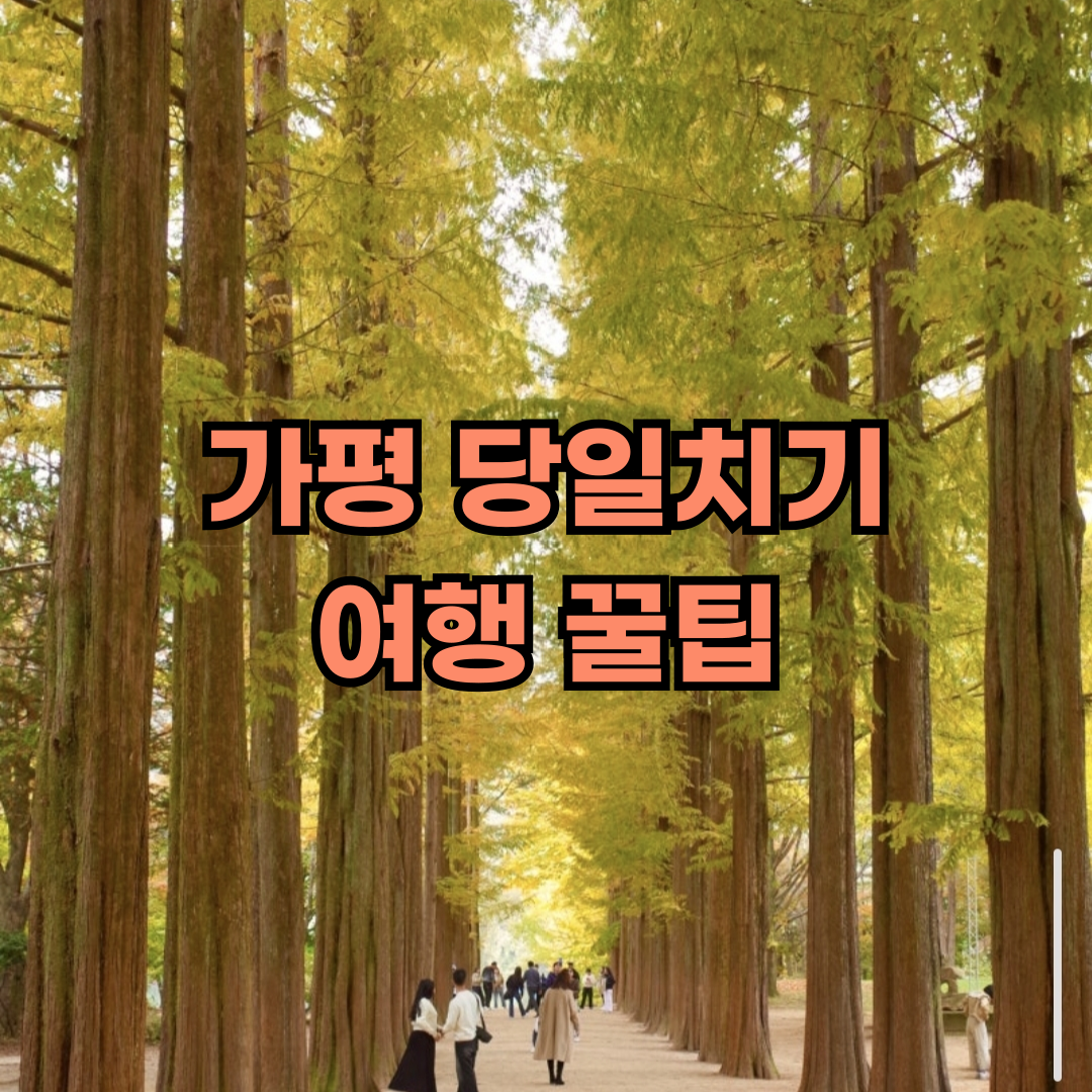 가평 당일치기 여행