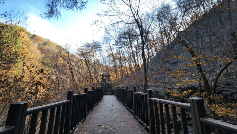 [명품숲길 50선 가을단풍 산행 ②] 소리향기길 &amp; 명언읽고가길 : 가평 강씨봉자연휴양림의 가을 산책길