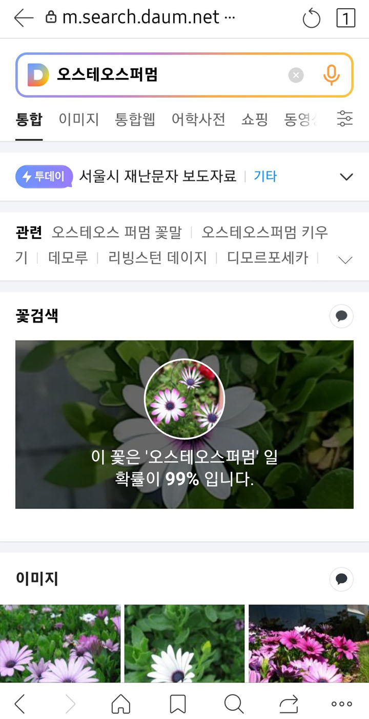 오스테오스퍼멈2