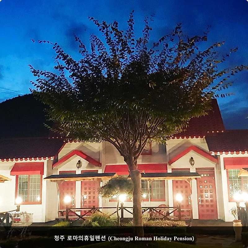 청주 로마의휴일펜션 (Cheongju Roman Holiday Pension)_1
