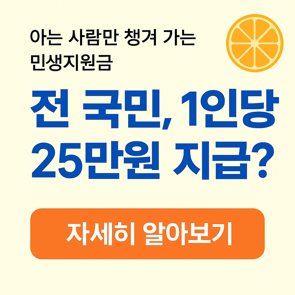 민생지원금