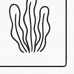 철분 많은 음식