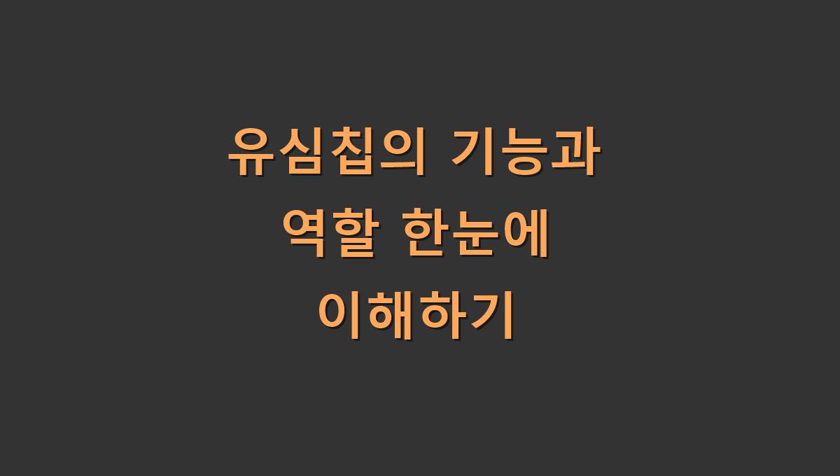 유심칩의 기능과 역할 한눈에 이해하기