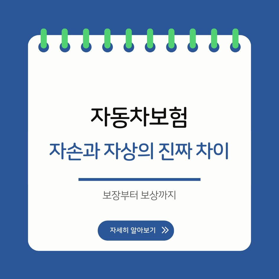 자손 자상 자동차보험 비교 인포그래픽