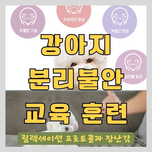 행동학 수의사가 알려주는 강아지 분리불안을 해소하는 안정화 교육 - 릴렉세이션 프로토콜과 장난감을 이용한 훈련법 썸네일