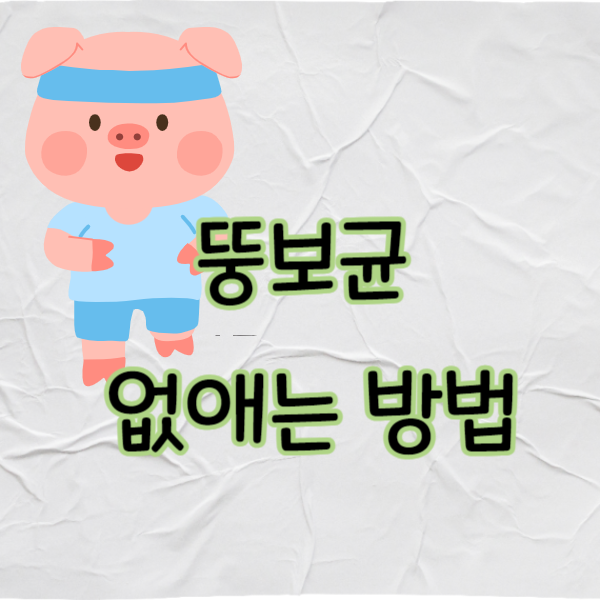 뚱보균 없애는 방법