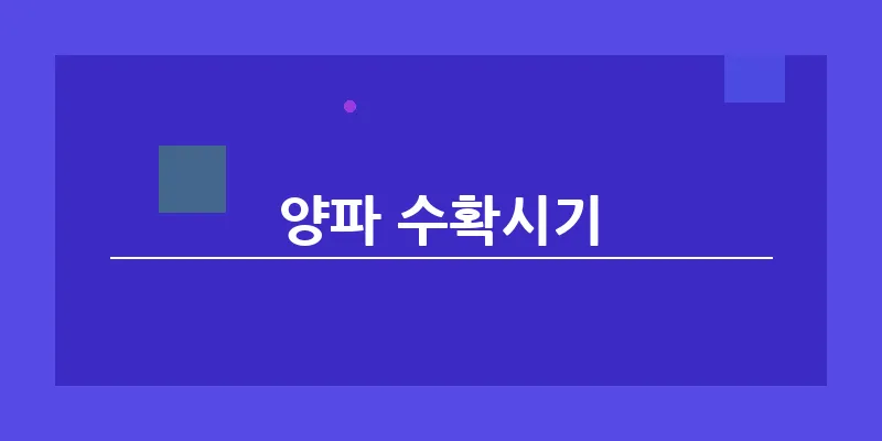 양파 수확시기_19