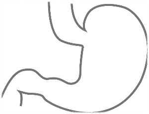 위내시경 금식시간 비용 검사 후 식사 총 정리!