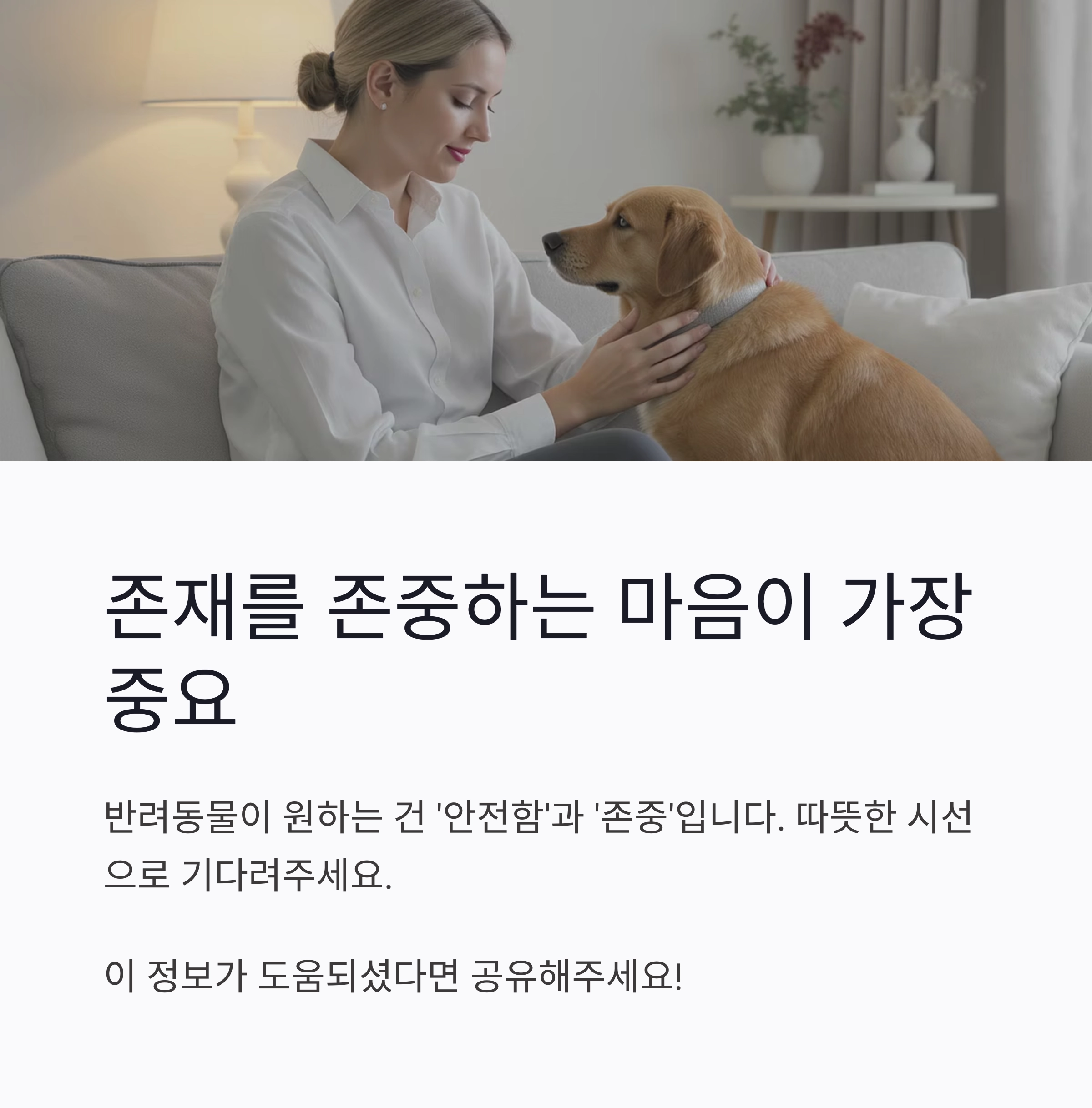 입양 후 첫 일주일, 반려동물과 친해지는 마법의 시간