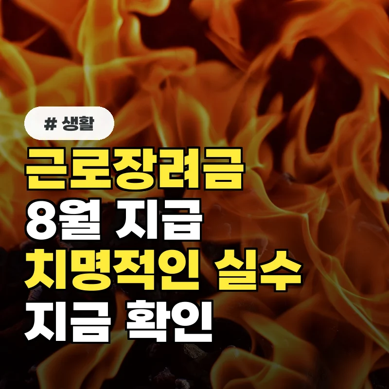 근로장려금 8월 지급 놓치는 치명적인 실수 3가지, 지금 확인하세요