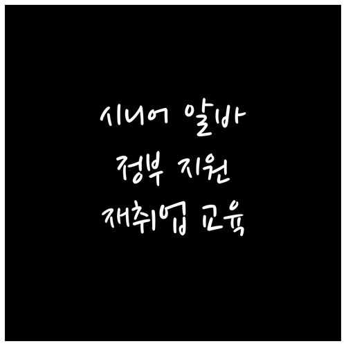 시니어 맞춤 알바 찾는 비법: 정부 ..